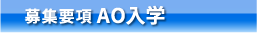 募集要項AO入学